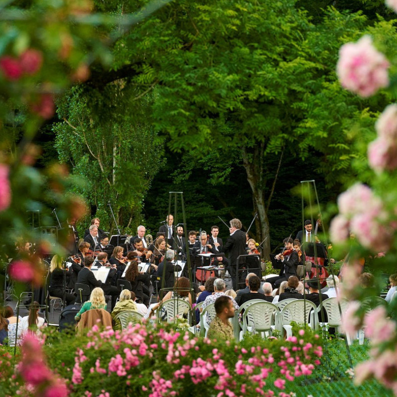 Blick durch Rosen auf ein Orchester.